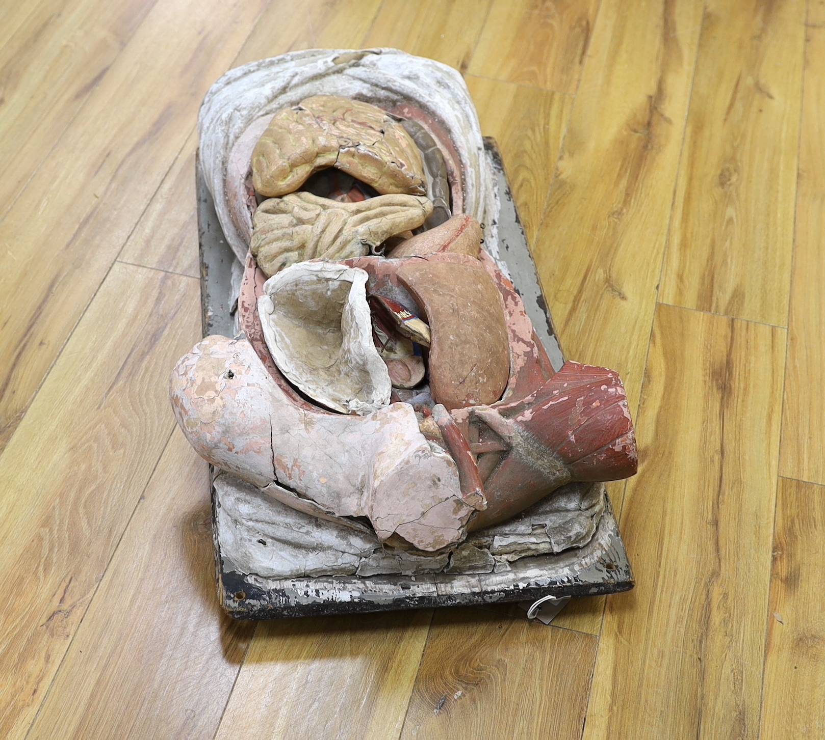 A 19th century papier mache hand-painted anatomical model of the human torso, 74cm high